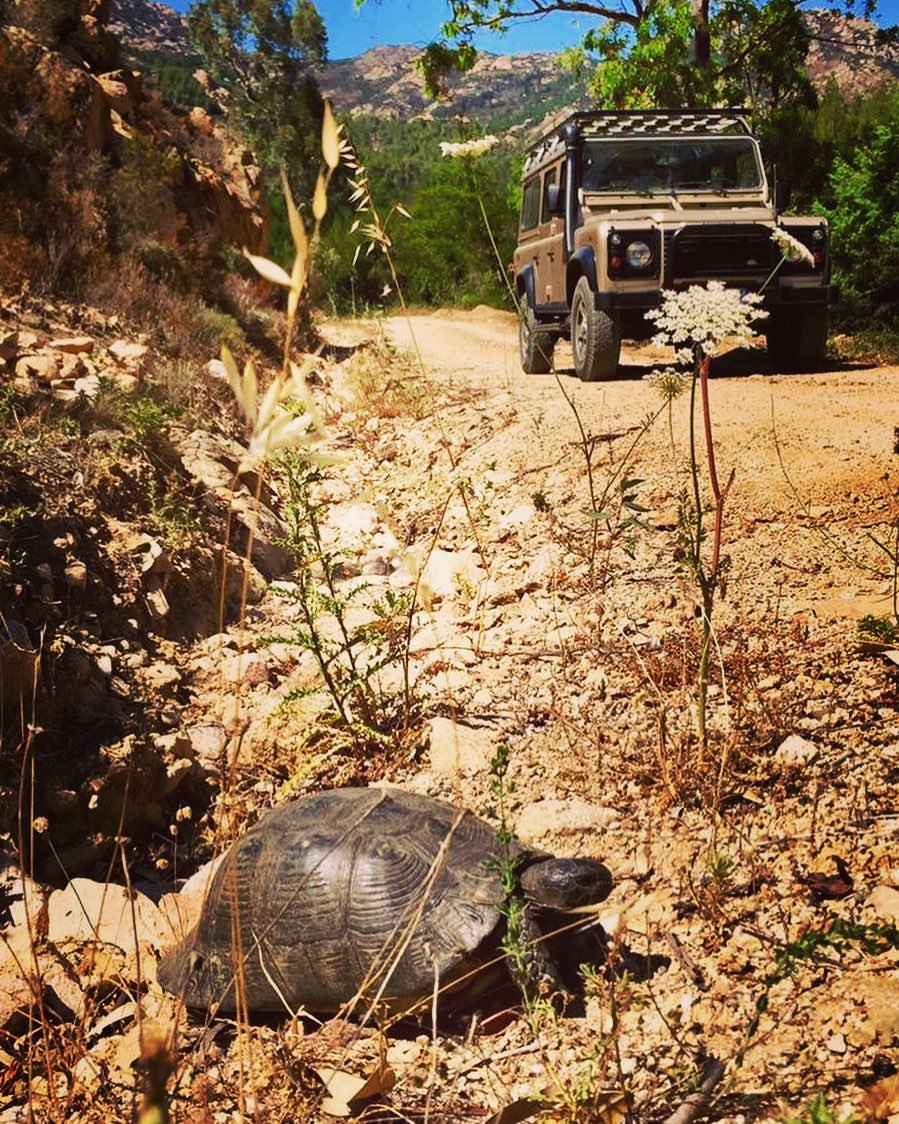 Gita 4X4 San Teodoro Sardegna Sardinia Exploring